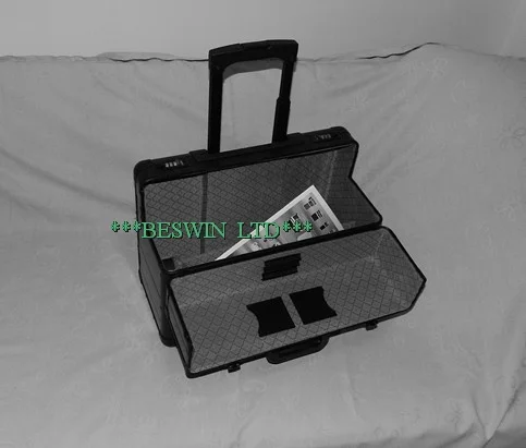 Pilot case — view 2