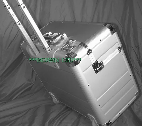 Pilot case