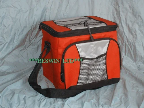 Cooler bag