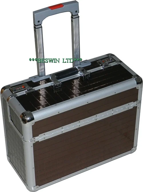Pilot case