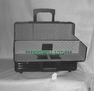 Pilot case — view 2