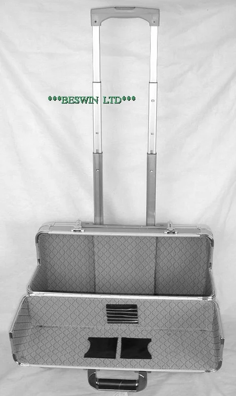 Pilot case — view 2